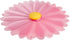 CHARLES VIANCIN Drink cover daisy - 20cm