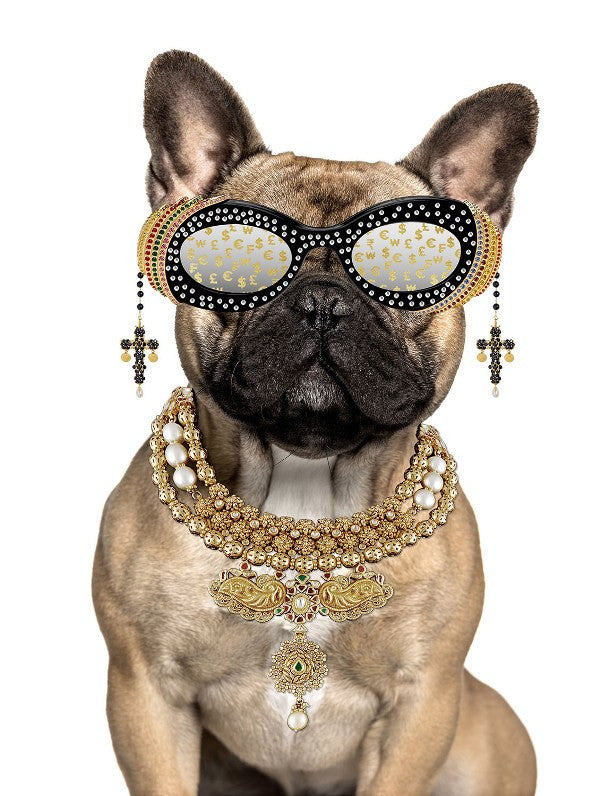Glasschilderij Buldog met bril - 60x80cm - met goudfolie