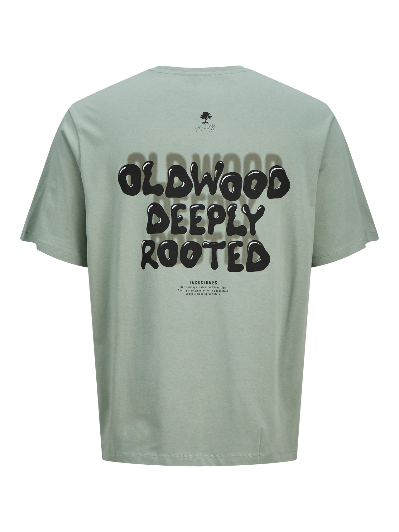 JACK&JONES T-shirt JJWOBLY - iceberg green - 152