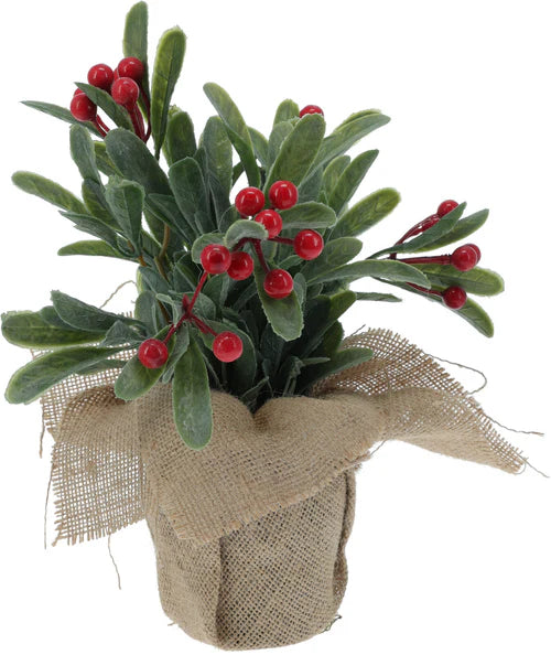 Kerst plant met bessen in jute pot