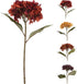 Hortensia 60cm - ass. (prijs per stuk)
