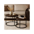 Salontafels set/2 - zwart