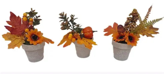 Herfstplant in pot 21cm - ass. (prijs per stuk)