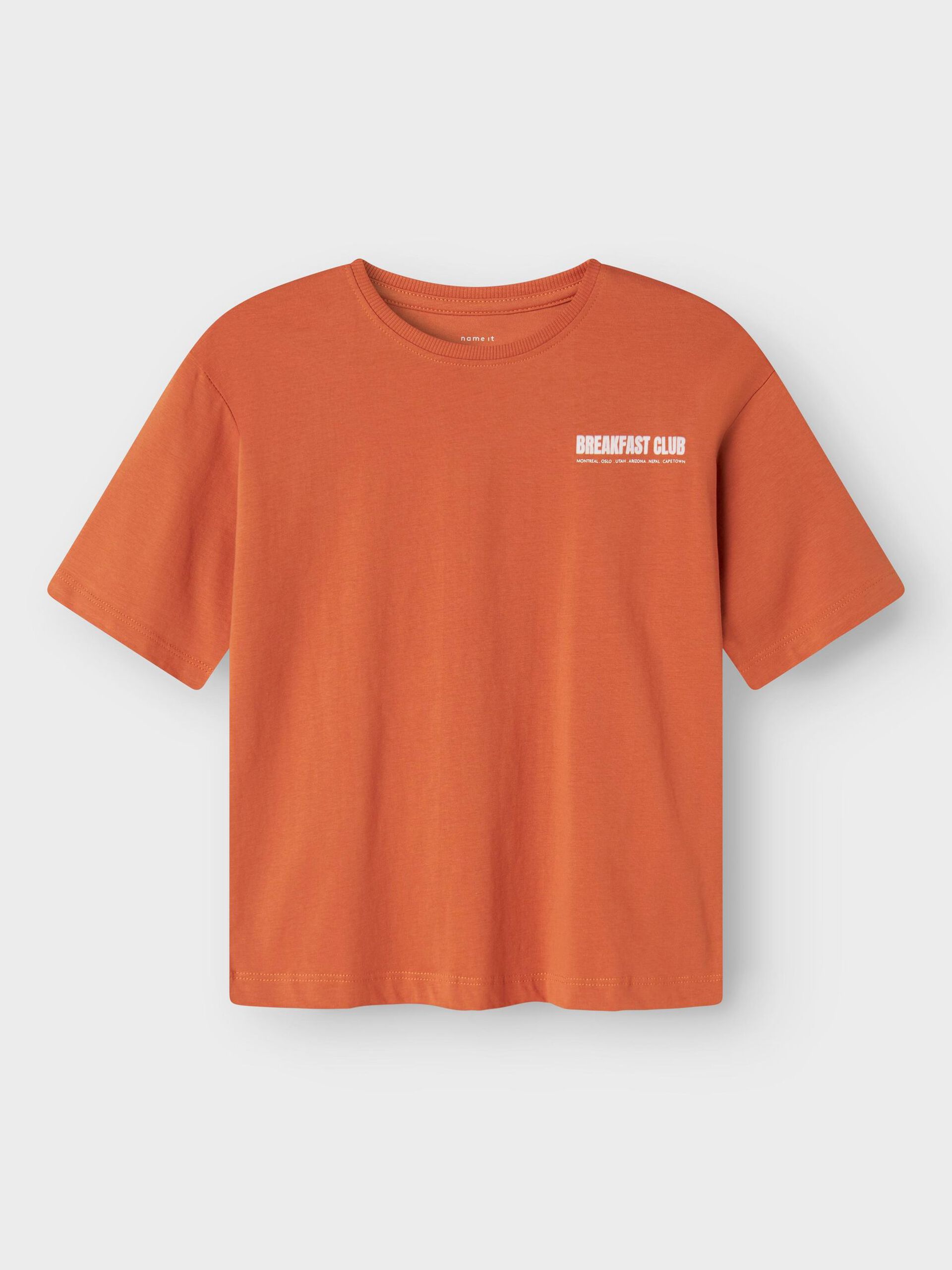NAME IT B NKMOTAM shirt - autumn leaf - 116