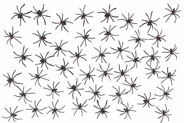 Spinnetjes 5cm - 50st.