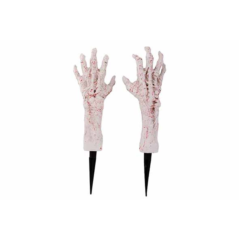 Hand skelet 2 stakes