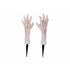 Hand skelet 2 stakes