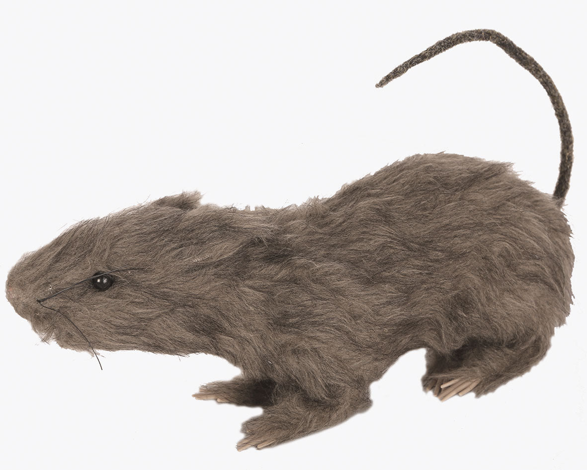 Rat 30cm