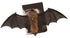 Vleermuis 40cm