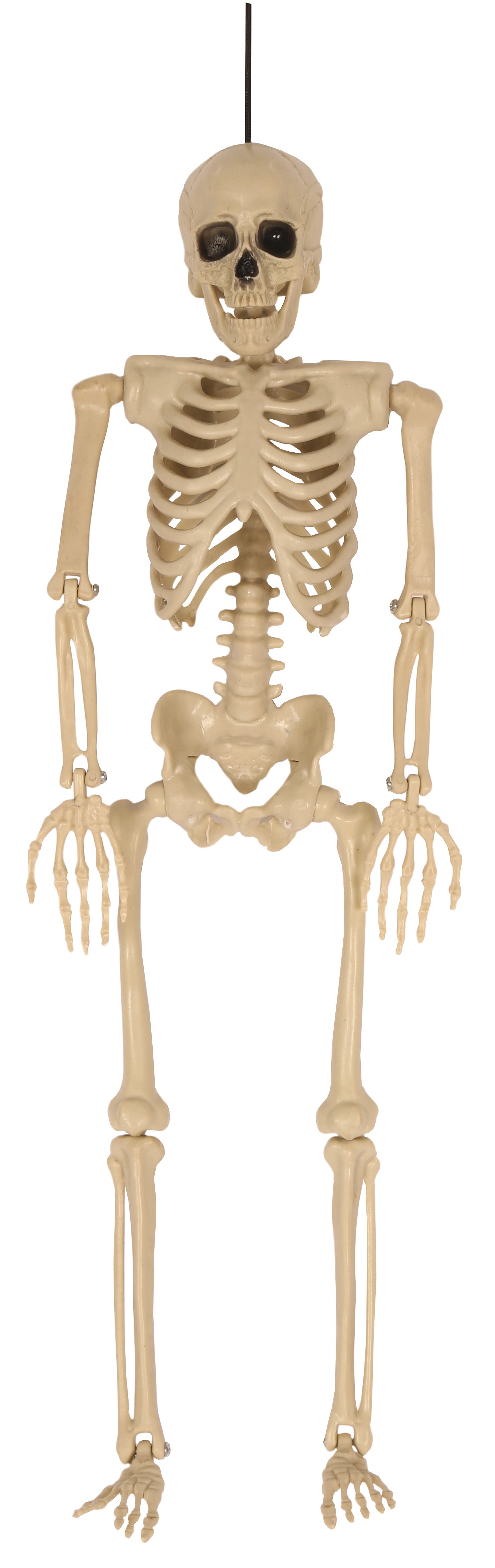 Deco Halloween - Skelet 35cm