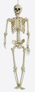 Deco Halloween - Skelet 150cm
