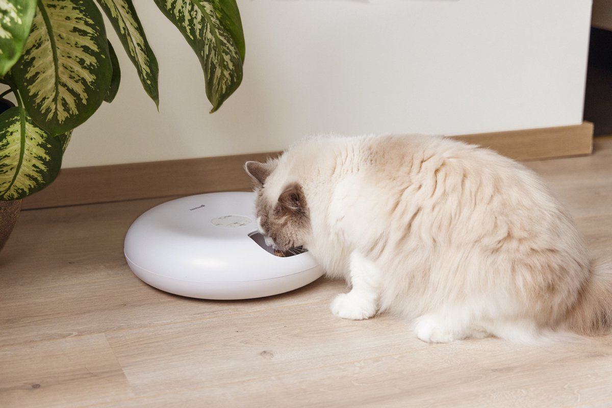 BEEZTEES automatische voederautomaat Onni kat - wit