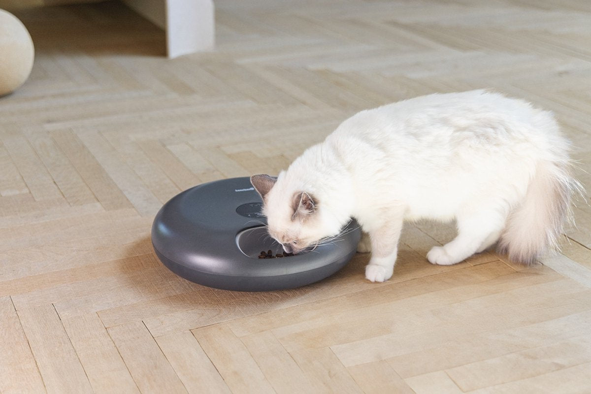 BEEZTEES automatische voederautomaat Onni kat - antraciet