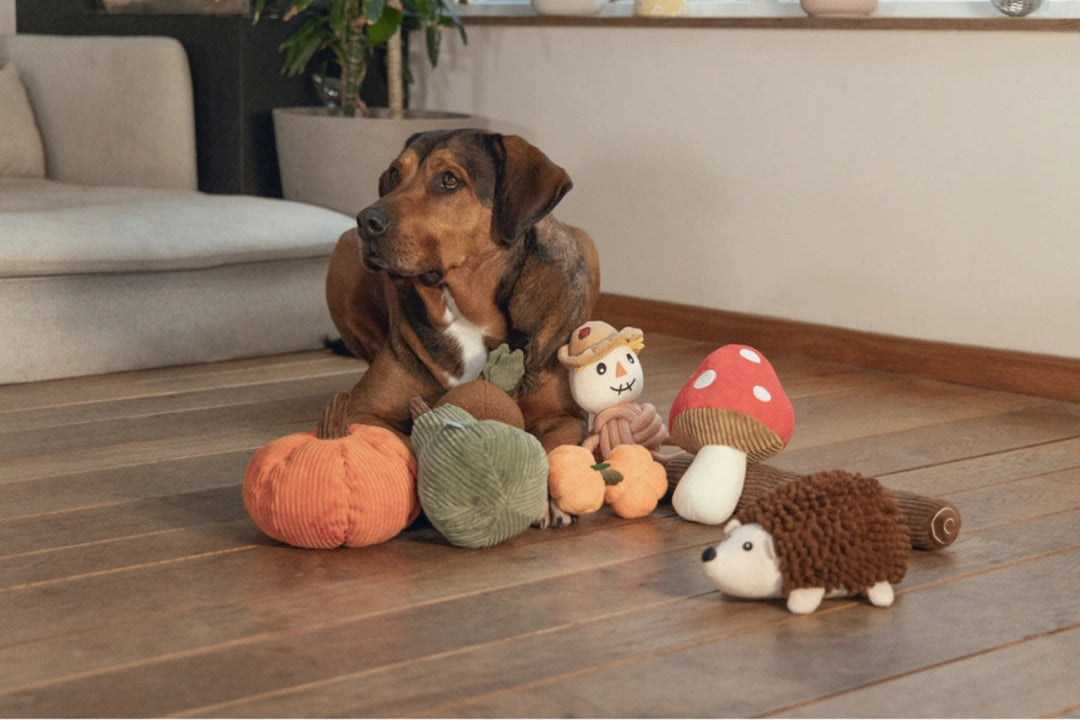 BEEZTEES hondenspeelgoed pompoen petar grn 21x14