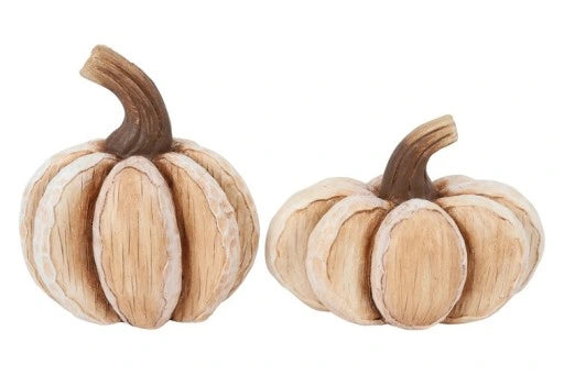 Pompoen Ravi 15x17.5cm - bruin - ass. (prijs per stuk)