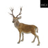 MICA kerstdeco rendier staand 63x34x75cm - bruin