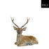 MICA kerstdeco rendier liggend 47x26x50cm - bruin