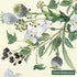 IHR Servetten 33x33cm - Winter Flowers cream 3942601160