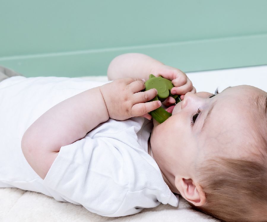 TRIXIE Koelbijtring - Mr. Dino