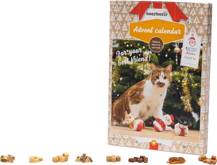 BEEZTEES Adventskalender - Kat
