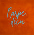 YETT Tegeltje - Carpe diem - oranje/blauw