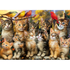 EDUCA Puzzel - Katten en vogels 500st.