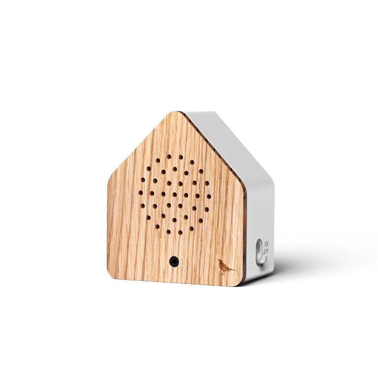 Satellitebox Blackbird Wood