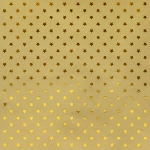 Kerstpapier Elegant X-Mas 150x70cm