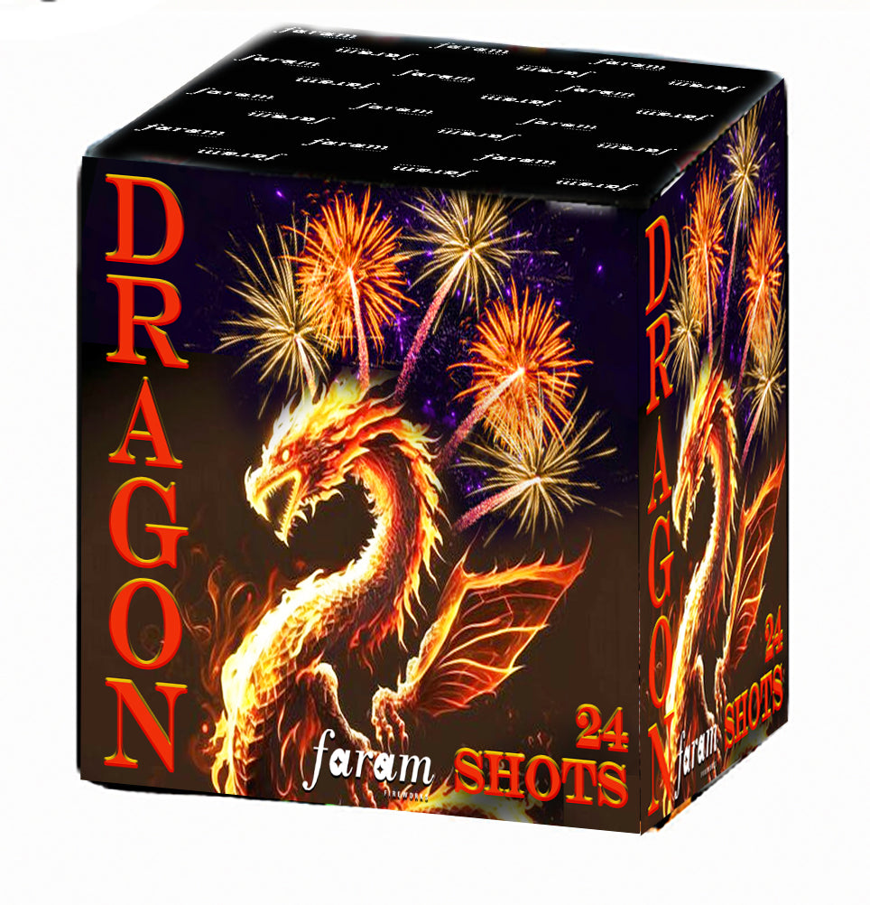 Vuurwerk Dragon - 24 shots - 156g F2 28sec