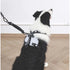 M-Pets Pull power schokdemper zwart
