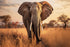 Glasschilderij olifant op de savanne - 120x80cm