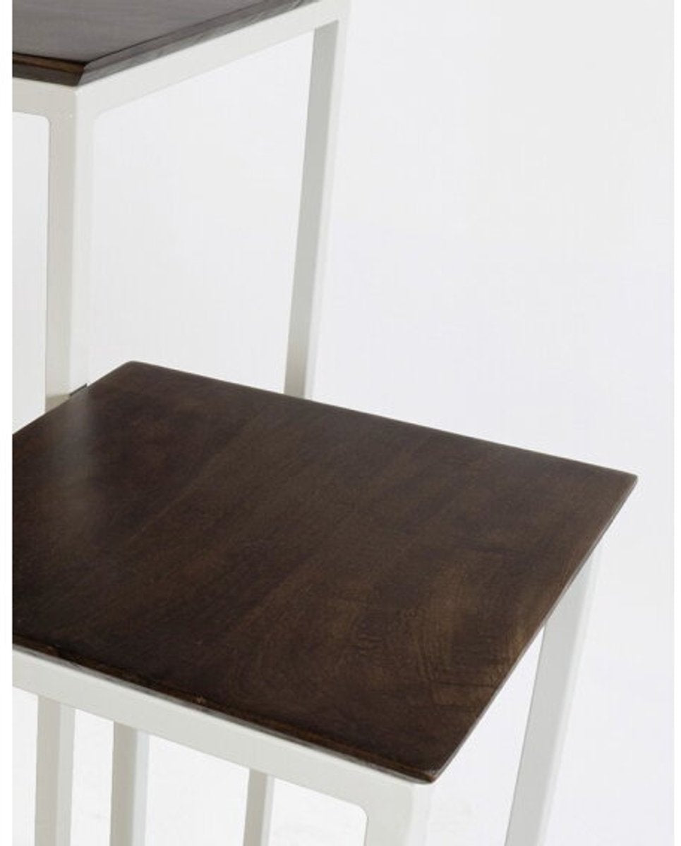 Martinique set 2 plantentafels - 42x42x110cm/ 32x32x90cm - frame metaal beige/ mangohout brown