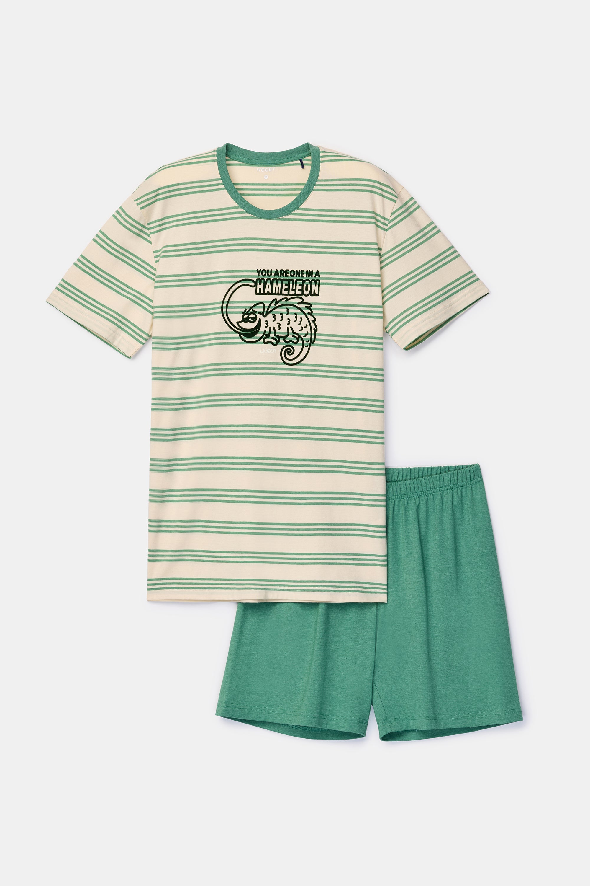 WOODY Heren pyjama - groen gestreept - XL