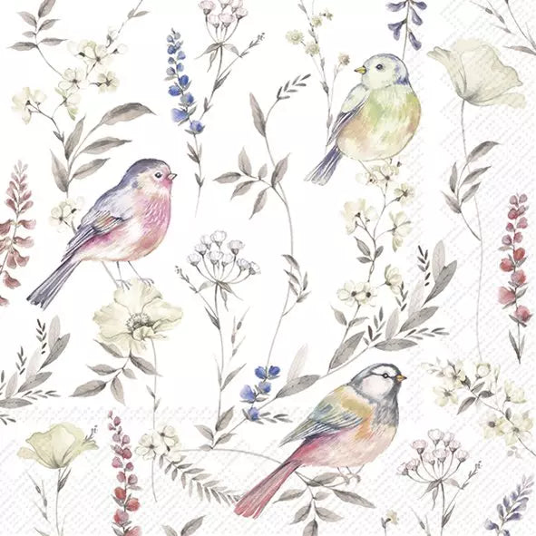 IHR Servetten 33x33cm - softly faded birds   4086301400
