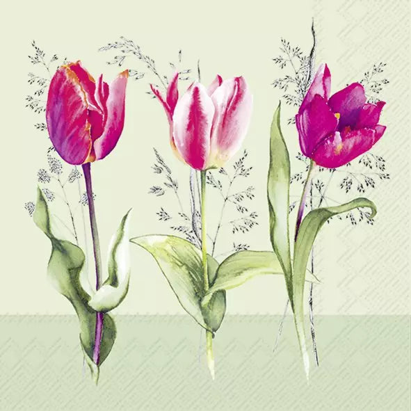 IHR Servetten 25x25cm - tulip beauties   4086502629