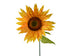 Zonnebloem polyester - 45x110cm - geel