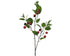 Kersentak - 28x18x95cm - groen/rood