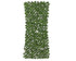 Hek ivy leaf plastiek