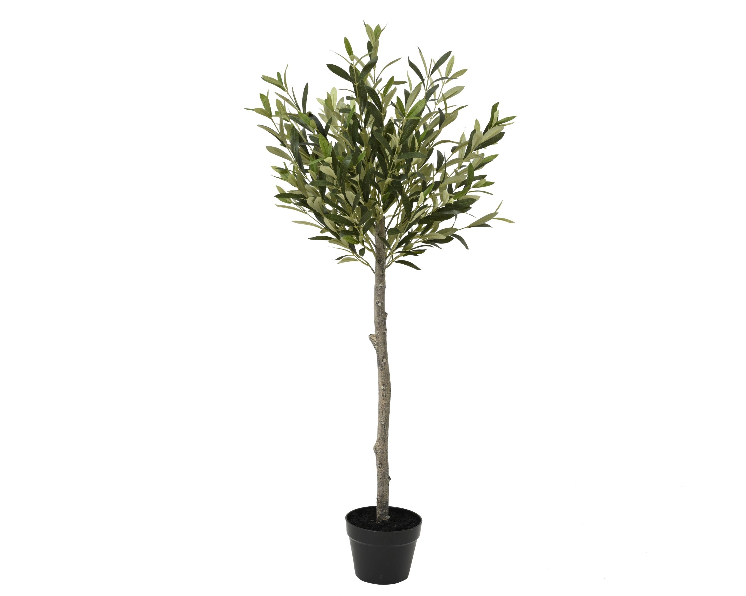Olijfboom in pot polyester - 45x120cm - groen