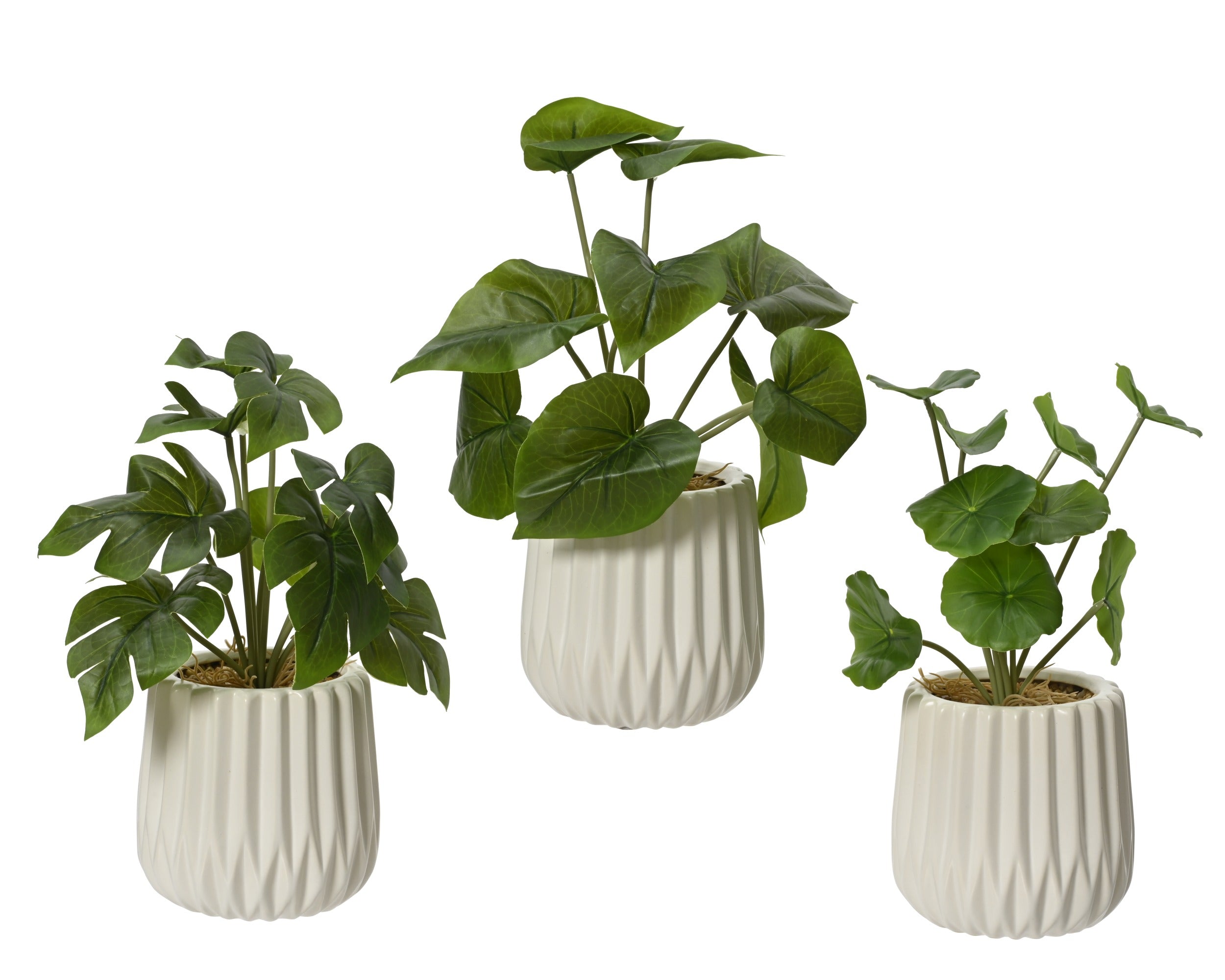 Plant in pot - 11x28cm - groen/wit ass. (prijs per stuk)