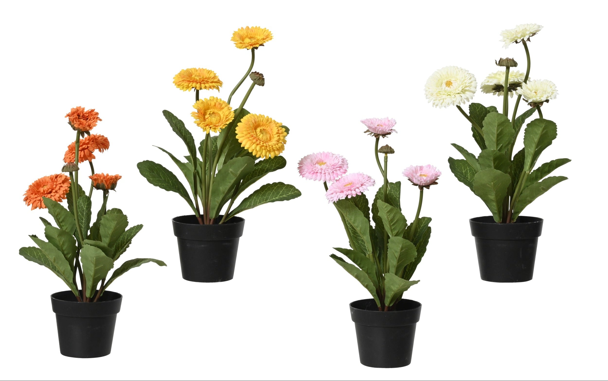 Chrysant in pot polyester - 20x30cm - ass. (prijs per stuk)