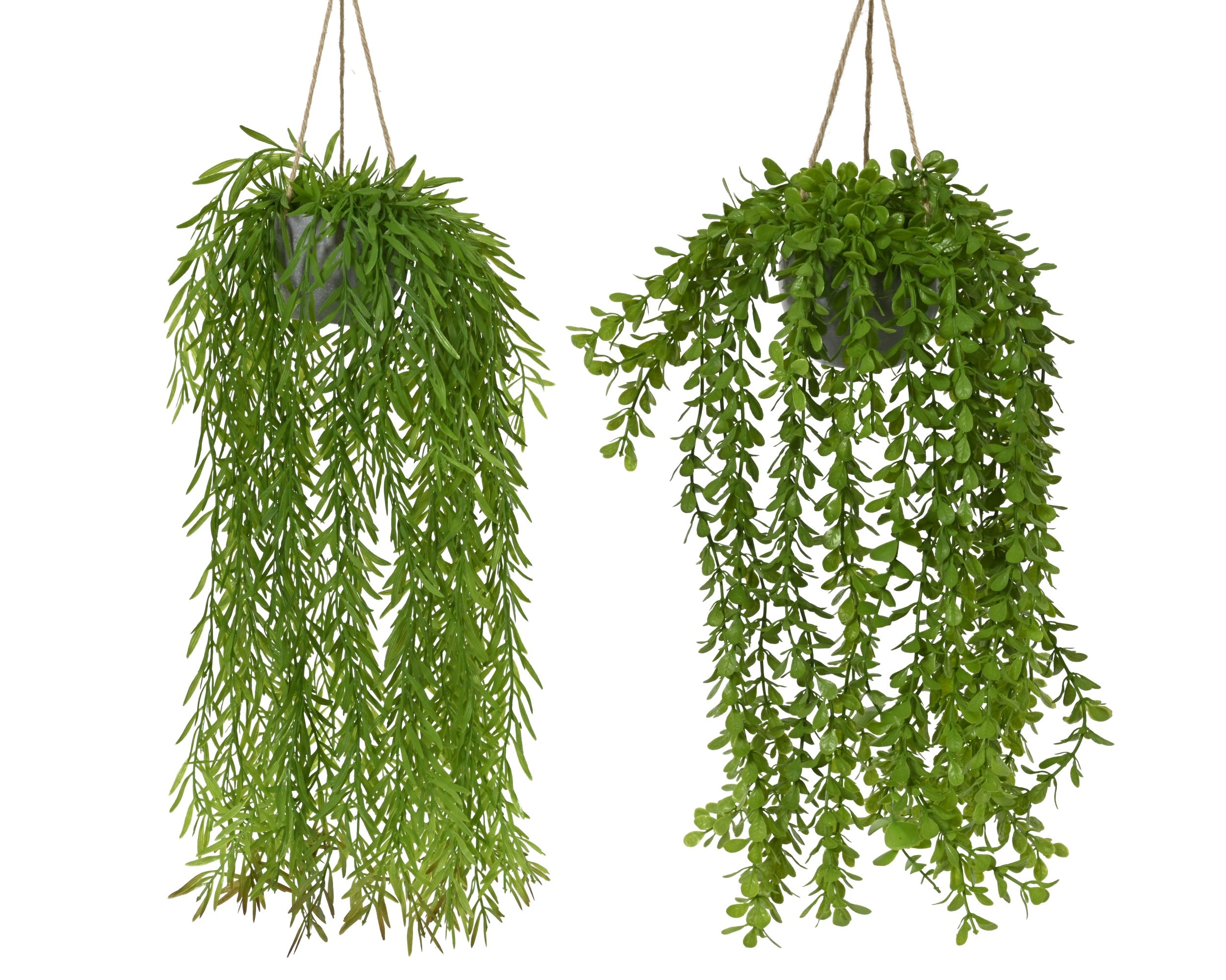Wilg in pot plastic - 14x66cm - groen ass. (prijs per stuk)