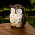 Solarverlichting uil outdoor - 18x20,3x23,5cm - bruin
