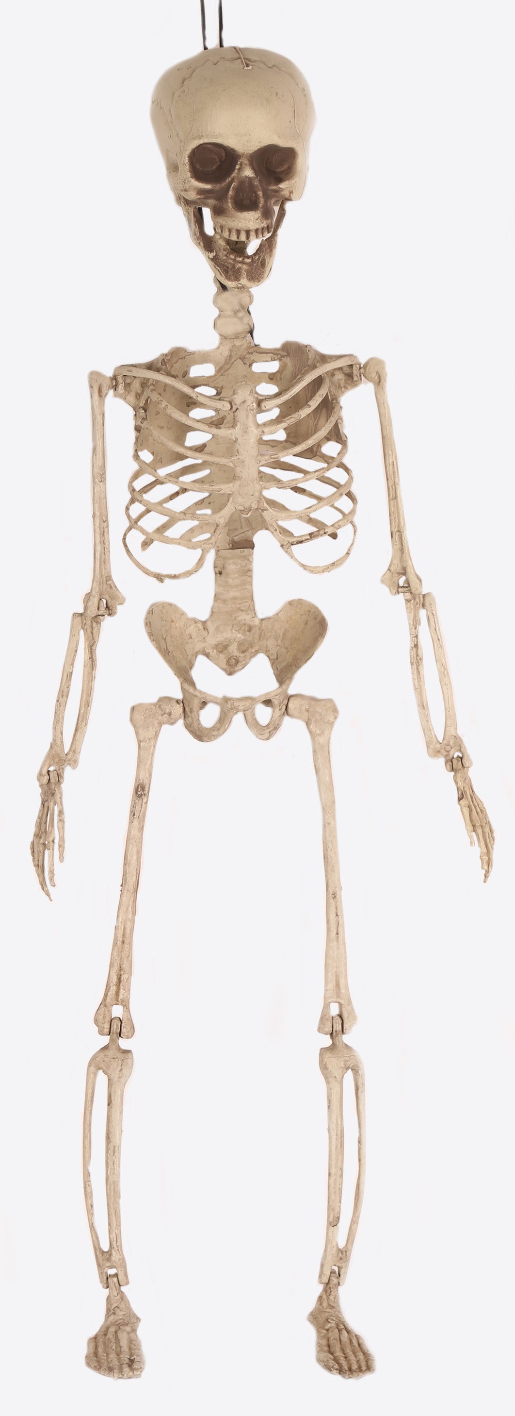 Deco Halloween - Skelet posable 70cm