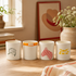 VAL POTTERY Waregem Koerse - mokkenset
