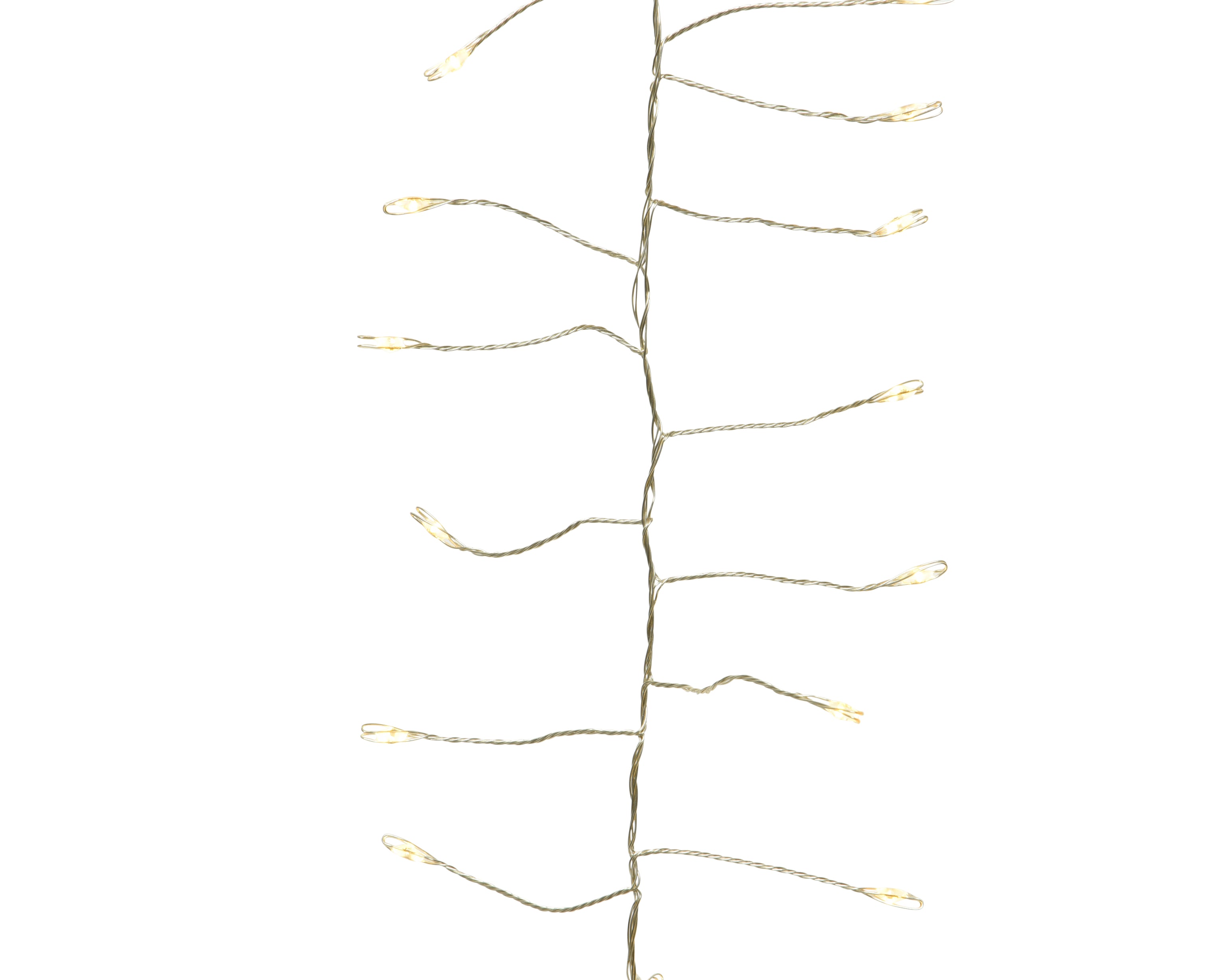 16894581.jpg