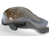 18875700-2.jpg