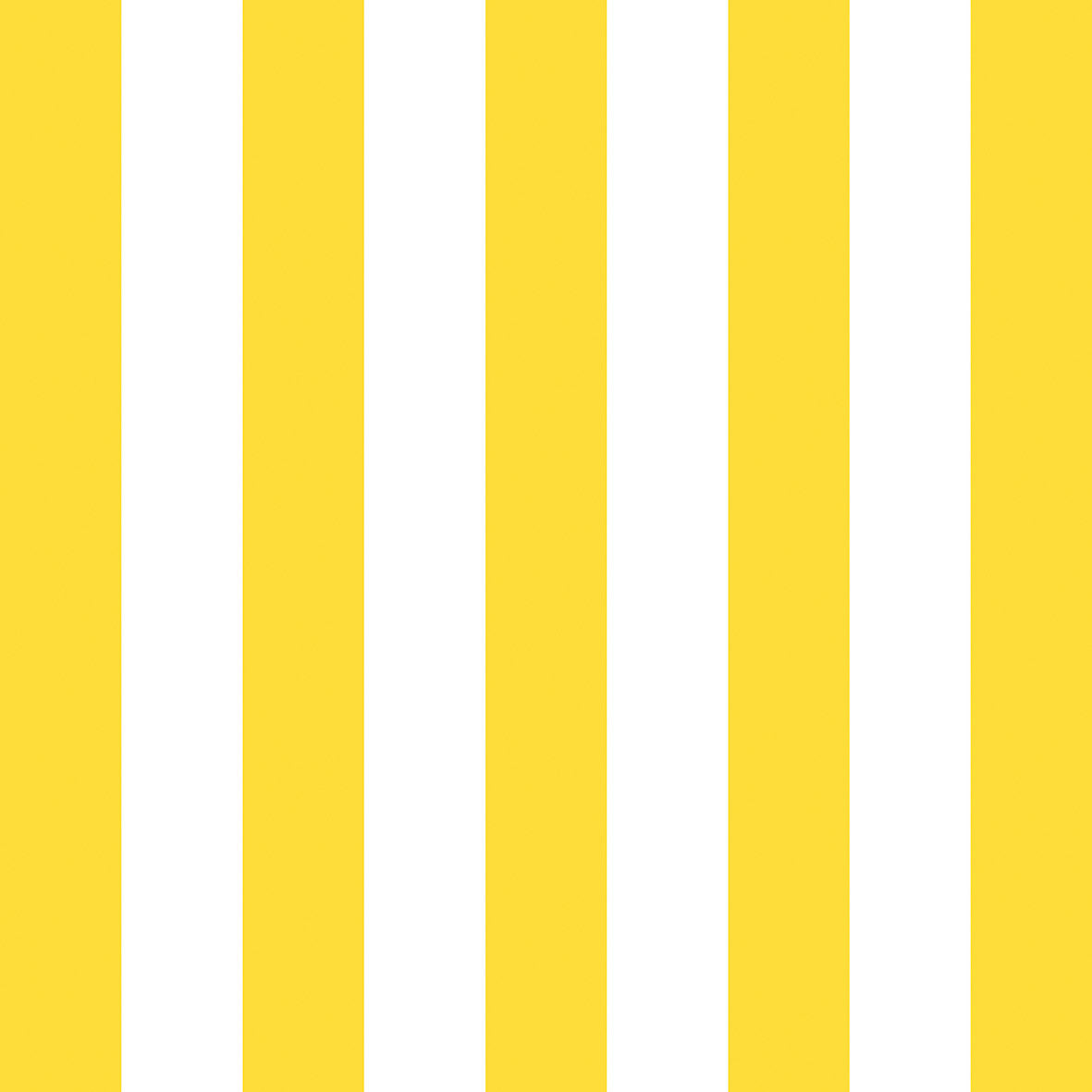 20047764.jpg