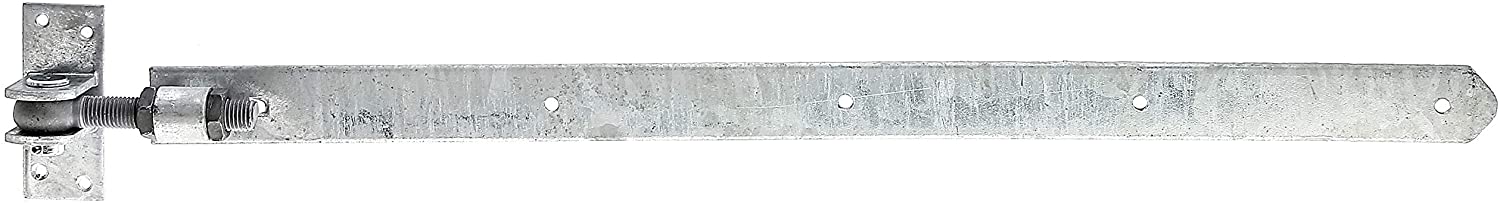 17656733.jpg