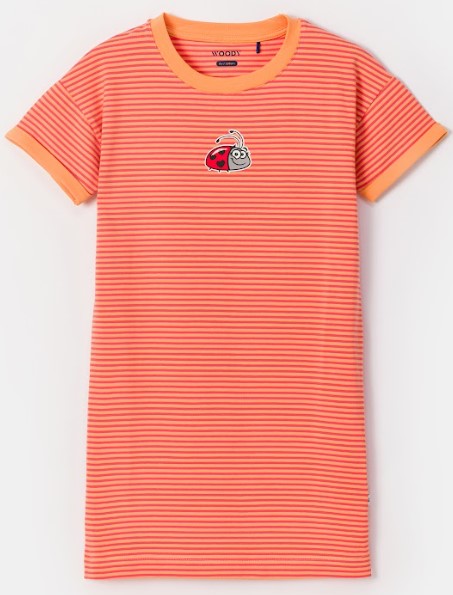 18795048.jpg